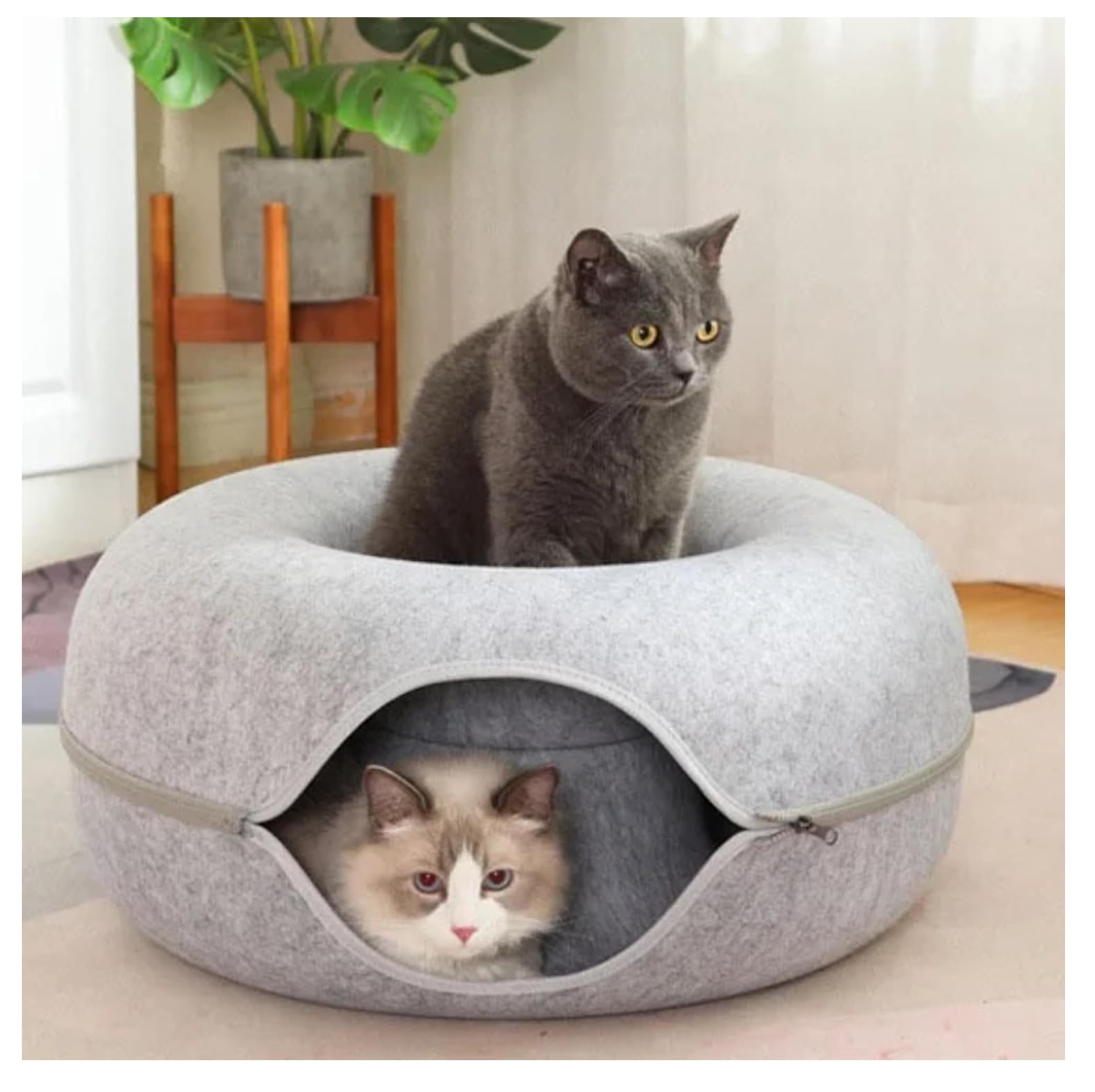 Cama Tunel Para Gatos Con Cremallera